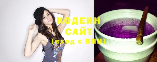 прущие грибы Вязники
