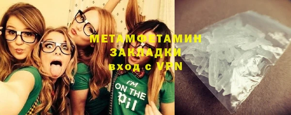 прущие грибы Вязники