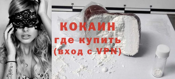 прущие грибы Вязники