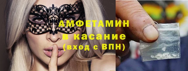 прущие грибы Вязники